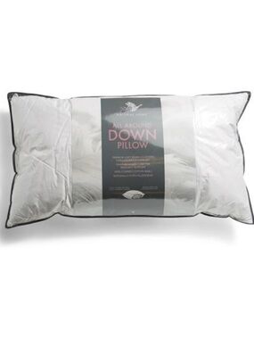 Natural Home All Around Down Pillow - White